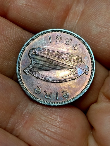 1964 ireland halfpenny - ireland, coin